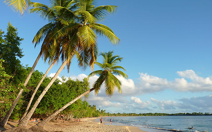 Visiter la Martinique : 3 conseils pour des vacances réussies en Martinique !